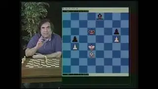 Basic Principles of Minor Piece Endings by GM Roman Dzindzichashvili