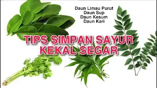 Cara Simpan Daun Sup, Daun Kari, Daun Kesum & Daun Limau Purut
