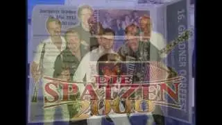 Radioaufzeichnung Gradner Dorffest 2013