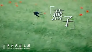 Female solo, Kazakh Folk Song: Swallow | China National Traditional Orchestra