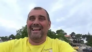Attaque de Frelons Asiatique sur un essaim d'abeilles dans un conduit de cheminée sur Arcachon