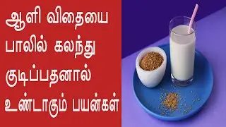 Flax seed milk benefits in tamil | ஆளி விதை பாலின் நன்மைகள் | Health Tips Tamil TV