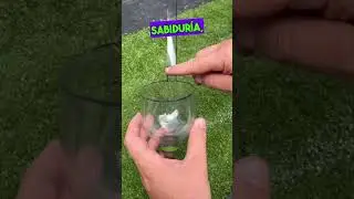 C&oacute;mo hacer un embudo casero con una botella de pl&aacute;stico #botella #plastico #casero #consejos