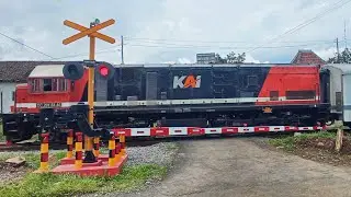 Perlintasan KA Baru Patemon, Kabupaten Jember, Jawa Timur