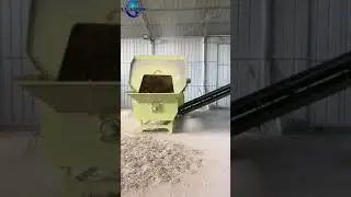 Fixed horizontal TMR feed mixer with conveyor