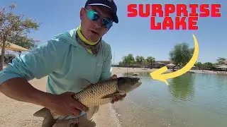 Surprise Lake AZ Spring 2022 - Part 2 Community Fishing Lakes and Ponds