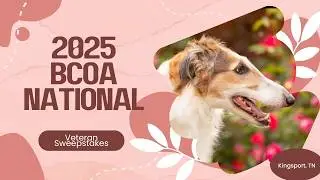 2026 BCOA Veteran Sweepstakes