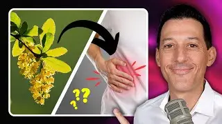 Does This Popular Herb Harm Your Liver?