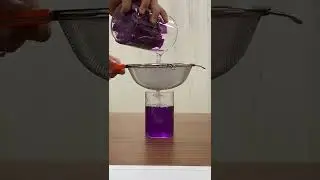 How to Make Your Own pH Indicator using Red Cabbage #shorts