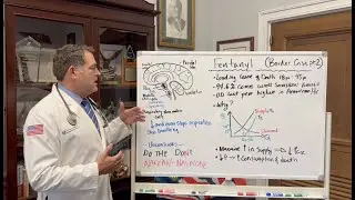 Rep. Green Details the Dangers of Fentanyl and How it Comes Across the Southern Border