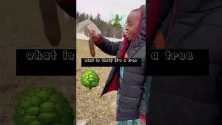 Spring Planting @UPS foundation #springplanting #greenkids #treeplanting #saturdaystory