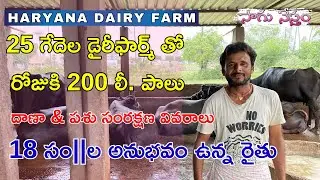 కొత్తగా డైరీ ఫార్మ్ బిజినెస్ ప్రారంభించాలి అనుకుంటున్నారా ? 18 సం||ల అనుభవం ఉన్న రైతు - మెళకువలు