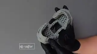 Dental Model