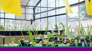 Unit for Environmental Sciences and Management &ndash; Integrated Pest Management Research