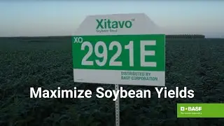Strategies for Maximizing Soybean Yields