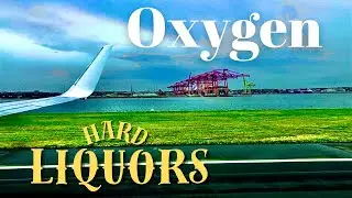 Hard Liquors - Oxygen (Official Music Video) | 90s Grunge Rock / Australian Band