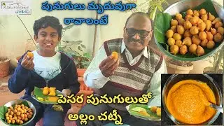పెసర పునుగులు దూది లా రావాలంటే💯ఇలా చేస్తే ఒక్కటి కూడా మిగలదు,అల్లం చట్నీ ఇలా ఎప్పుడైనా తిన్నారా రుచి