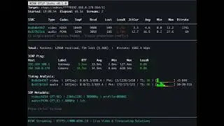 WINK RTSP Stats - Free RTSP Stream Analyzer (Packet Loss, Jitter, Bitrate)