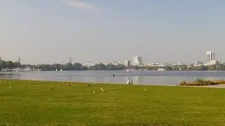 Hamburg: Alsterwiese Schwanenwik, Blick zur (view to) Au&szlig;enalster - 4K Video Picture