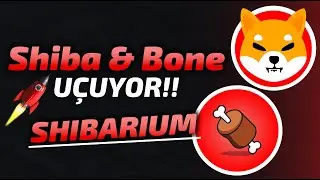 Shibarium Sonrası SHIB ve BONE U&Ccedil;TU! Shibarium Nedir? Shib ve Bone Coin Analiz