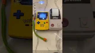 Printing my Pokemon Crystal diploma in 2025!