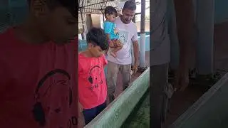 #fish fish #kovalam Sagarika Marine Research Aquarium