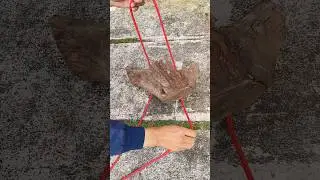 how to make a rope knot to tie wood #bushcraft  #work #knot