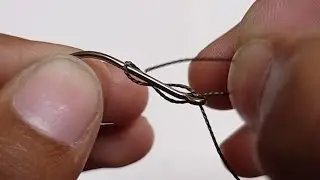 Best Fishing Hook 2022