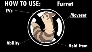 Competitive Guides- How To Use Furret