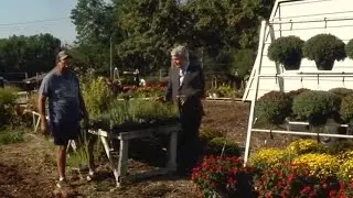 Garden Spot: Fall planting of herbs