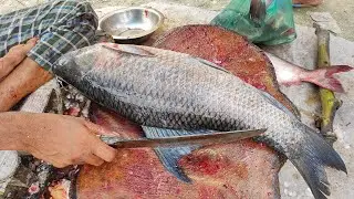 Fast Fish Cutting Video |Amazing Perfect Fish Cutting Video | Smooth Knife Work & Clean