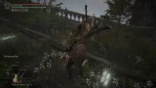 Bloodhound Knight Location 1 Main Academy Gate Liurnia of the Lakes ELDEN RING