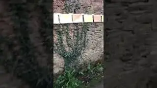 Spanische Motivationsspr&uuml;che f&uuml;r Pilger