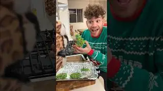 Rockin&rsquo; around the Rice Krispy Tree! 🌲