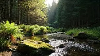 Flowing River Dreamscape &ndash; Water Ambience for Calm Nights