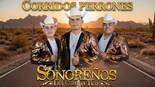 Sonoreños del Compa Tico 🔥 Los Corridos Más Pesados y Exitosos | MIX 2026