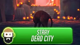 Stray - Dead City [Walkthrough]