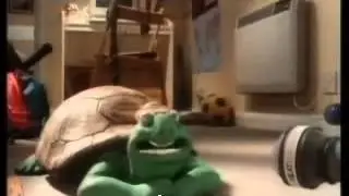 1990 Heat Electric   Turtle Interview