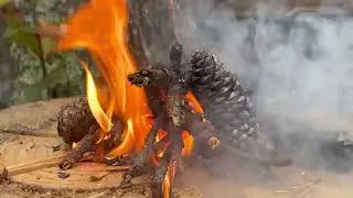 Master the Art of the Swedish Fire Torch - Ultimate Campfire Guide | XploringTheOutdoors #campfire