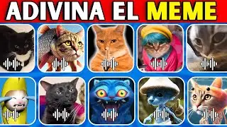Adivina 16 MEMES De GATOS🤣❤️Gato Soda Pop😺Gato Mewing🐈Chipi Chipi😺Trulimero🐈&zwj;⬛Gato Banana💛
