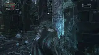 Trolling the AFK host | Bloodborne