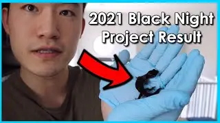 2021 GECKOPIA BLACK NIGHT LEOPARD GECKO PROJECT