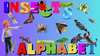Blippi's Fan's Insects Alphabet ABC...for Toddler/Kids Picture Book | Reading Aloud-American English