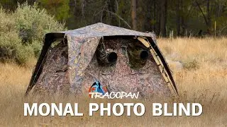Monal Photography Blind Features