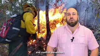 AI-Driven Monitoring Platform to Prevent and Mitigate Climate-Related&nbsp;Conflicts in Central America