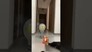Wow~Amazing Laser #amazing #diy #laser #tools