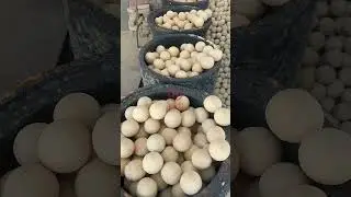 Refractory Balls And Castables Display - Xinhongji Refractory