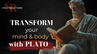 Plato&rsquo;s Wisdom on Balancing Body and Mind  | Stoic Refections