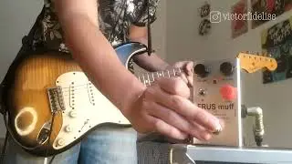 FRUS MUFF:  OS TIMBRES DE BIG MUFF DE JOHN FRUSCIANTE | POR: VICTOR FIDELIS