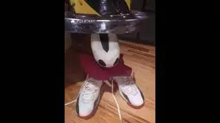 Hornet (SHAW!) #hollowknight #hornet #memes #funny #hydraulicpress